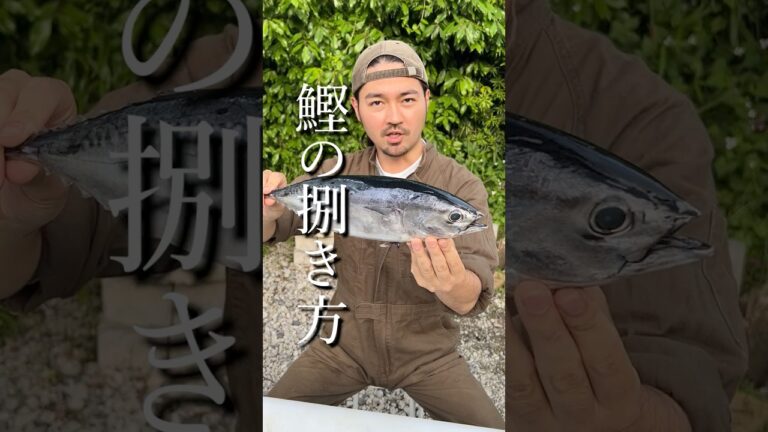 料理人の教えるカツオの捌き方が勉強になりすぎる！