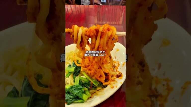 孤独のグルメで紹介された生汁なし担々麺が本格的な辛さと痺れで美味しい🍜【池袋グルメ】 中国家庭料理 楊 #ラーメン #らーめん #担々麺 #汁なし担々麺 #孤独のグルメ #中華料理 #辛い