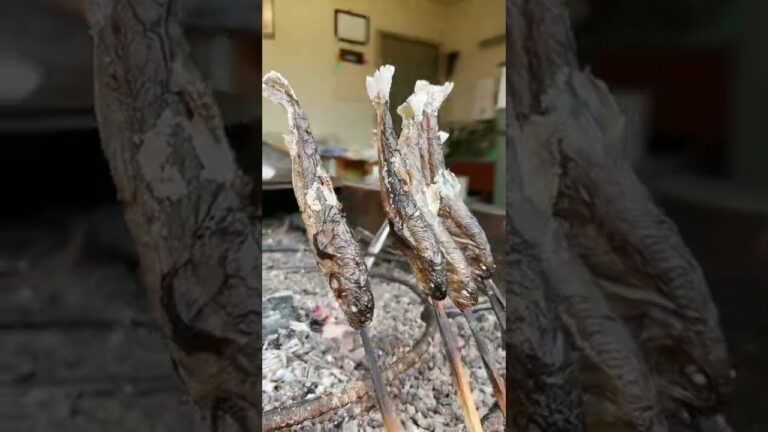 【イワナを焼いて30年】道の駅で食べる頭が1番美味い焼き魚