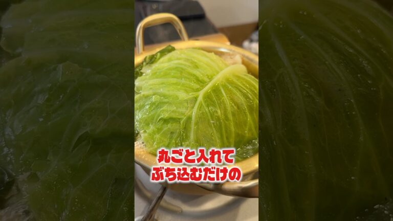 キャベツと鶏丸ごと入れてぶち込むだけの鶏キャベツ鍋がリピート確定！#shorts #リュウジ #キャベツ #鶏肉 #鍋 #レシピ #料理