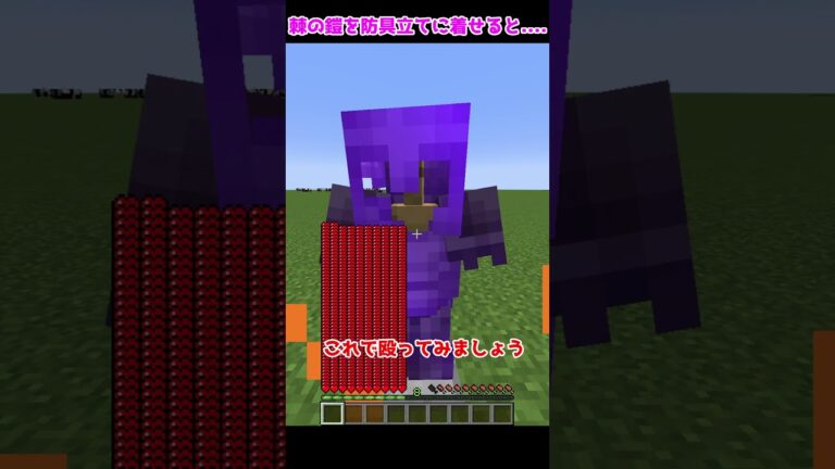 【マイクラ検証】棘の鎧255Lvを防具立てに着せて殴ると...？【ゆっくり実況】【マインクラフト】【小ネタ】#Shorts