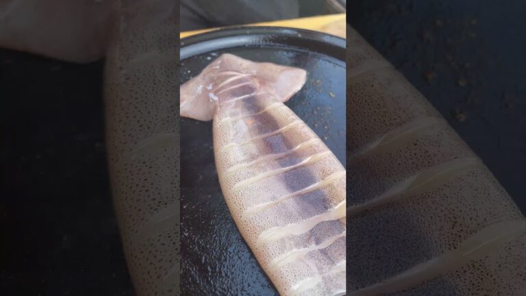 【屋台のイカ焼き】昔お祭りで食べた懐かしの味再現してみました！#炭火#お祭り#屋台#イカ焼き#bbq #camping