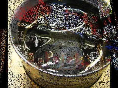 食べ放題・飲み放題♪新・地鶏も選べる贅沢コース★尾鶏なかもず店！