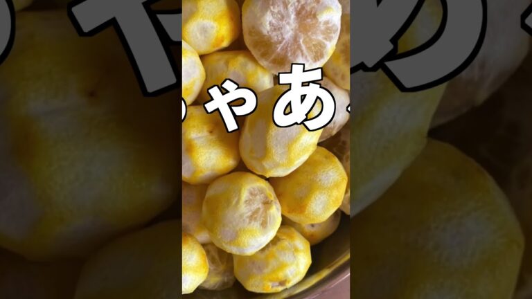 最高に美味しい柚子シロップの作り方　#shorts #ゆず #柚子 #柚子シロップ  #手作り #自家製 #超簡単