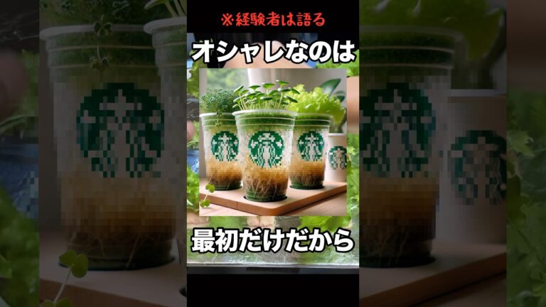 オシャレなプラカップでレタスの水耕栽培をしたい！と思ってやってみたら…#水耕栽培 #レタス水耕栽培#家庭菜園 #家庭菜園 #リーフレタス #フリルレタス #野菜水耕栽培#スタバのカップ
