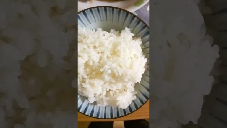 今日の夜ご飯　白米　ネギとほうれん草の味噌汁　高野豆腐　煮込みハンバーグ