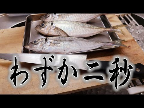 [アジ編]魚屋アングラーが勧めるアジの早卸＆裏技