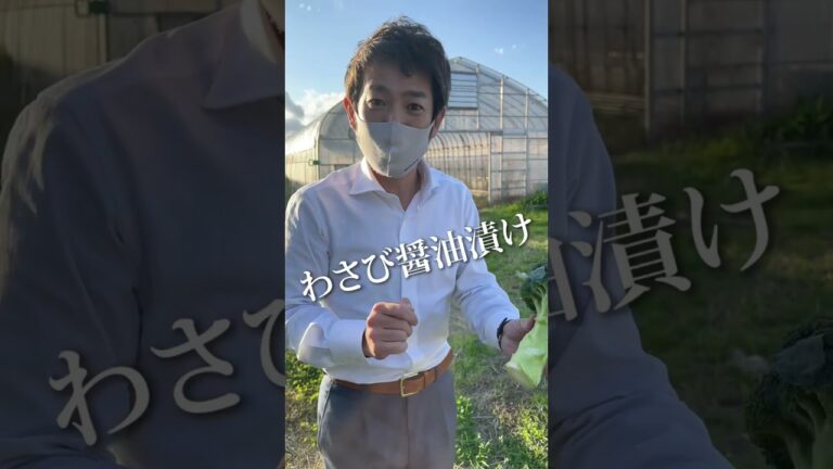 #shorts ブロッコリーの茎を生で食べる #野菜 #農家に聞く #これ知ってた