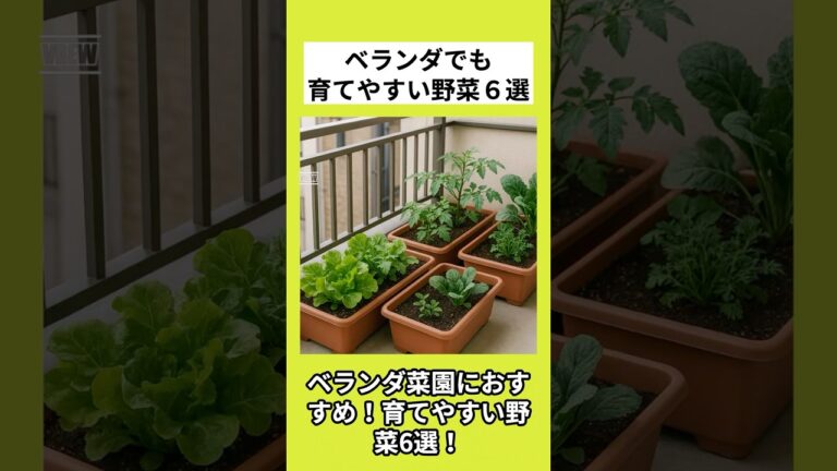 ベランダ菜園におすすめ！育てやすい野菜6選！#shorts