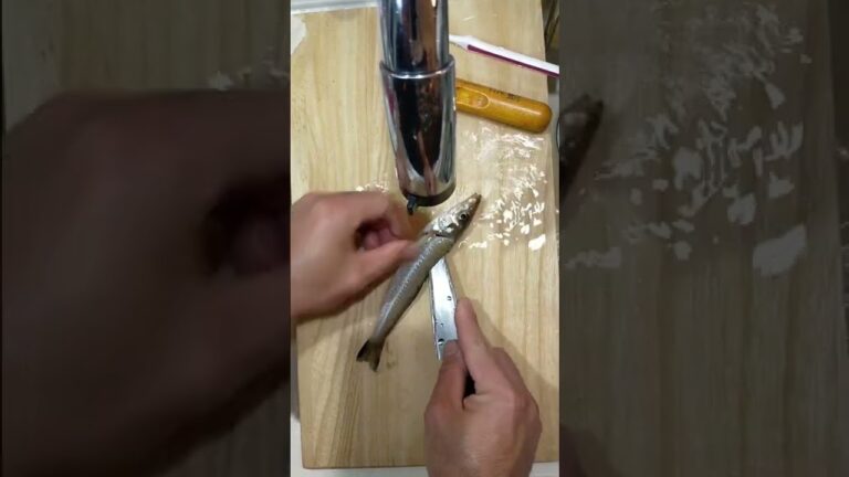 TikTokで1000万回再生されたキスを捌くだけの動画（天ぷら用背開き）#shorts