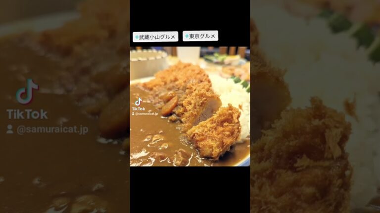 武蔵小山のグルメ情報「和食処 佐和」～カツカレーライス～ サックリ大きなカツとたっぷりルーのカツカレーが美味しい！ #武蔵小山グルメ #東京グルメ #西小山