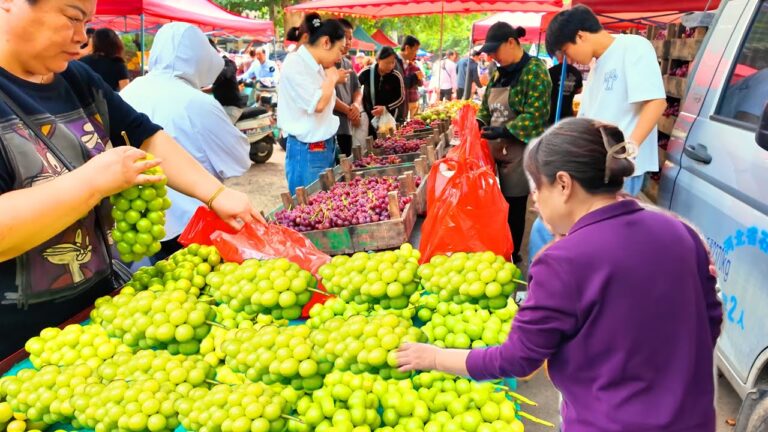 河北石家庄西三庄早市：热气腾腾的梅菜扣肉烧饼，外焦里嫩的脆皮炸糕，浓郁香气扑鼻的老豆腐，鲜香四溢的肉夹馍，鲜嫩多汁的牛肉罩饼，香脆可口的水煎包，回味无穷的酥脆锅盔，烟火温暖，生活可及！