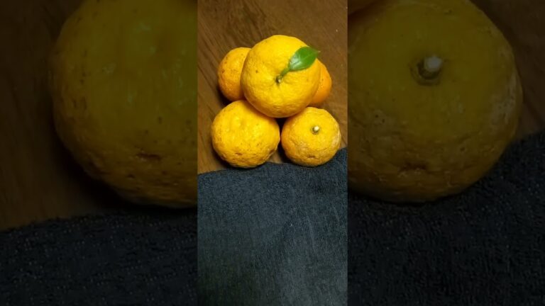 届きました*柚子の里から*ゆずだより*謝謝🙇🎶あなたな～らどうする🎵オススメします▶️1st～柚子酢をしぼる 2nd～かわ の部分で｢おいしい｣マーマレード→柚子味噌etc.をつくる☺️🤒🙋