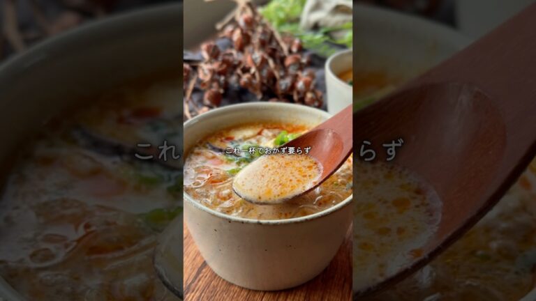 手軽なのに家族大絶賛👏アレンジ無限大の和風豆乳坦々スープ✨