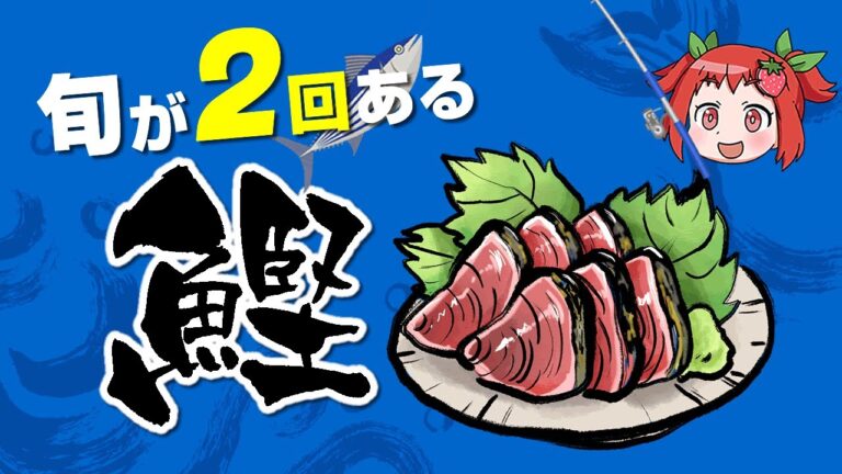 【ゆっくり解説】旬が２回ある！？栄養満点の「カツオ」