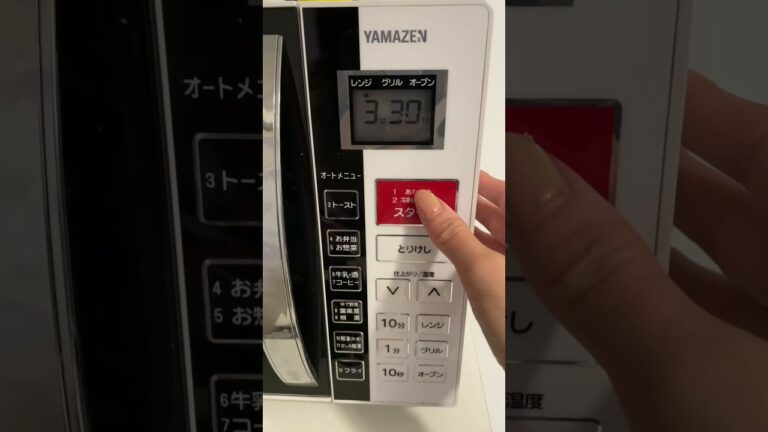 本場すぎる！！タイで食べたカレーと同じ味！！