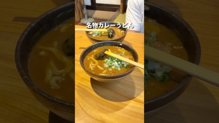 富山で角を曲がるほど行列ができる名物カレーうどん「吉宗」
