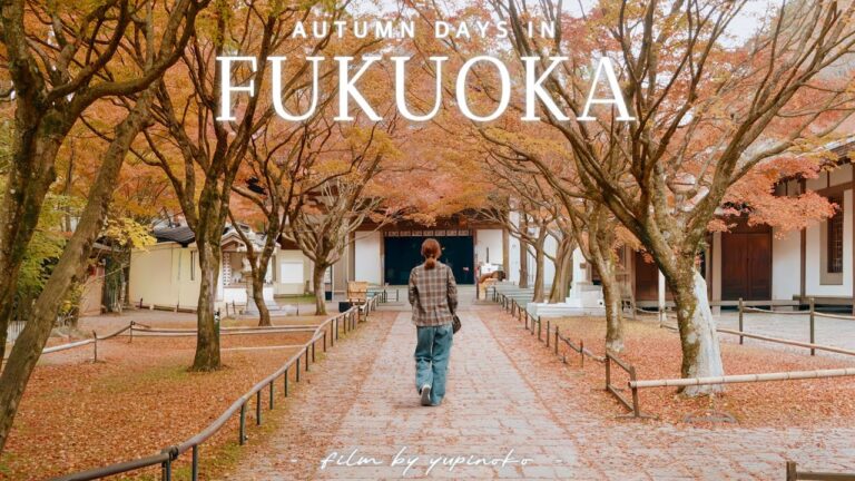 #29【福岡VLOG】心ほぐれる秋散歩🍁紅葉とカフェを巡る休日ログ| 呑山観音寺・雷山千如寺・竈門神社