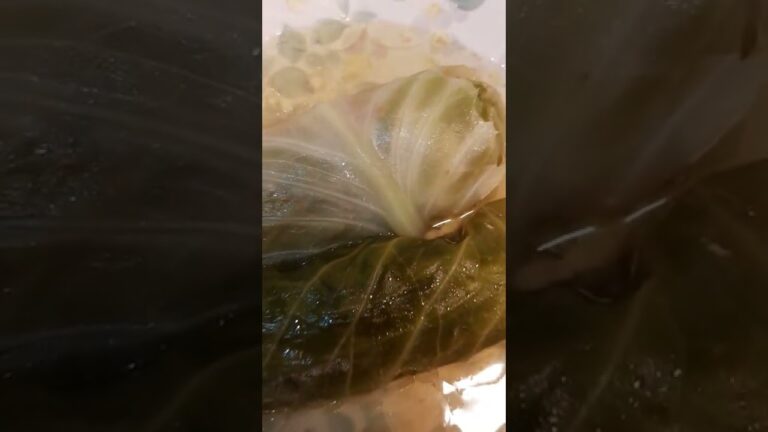 妻が作った巨大ロールキャベツ❗😆ありがとう😆💕✨