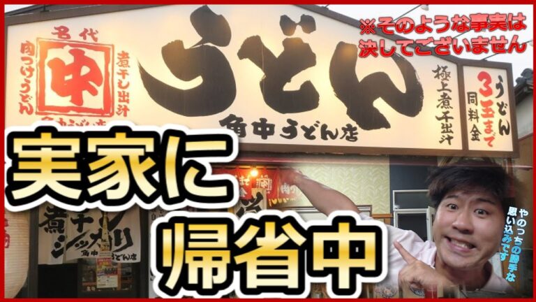【うどん】「カレーうどん」「タレカツ丼」新潟市東区中野山　美味しいうどんを食す　あまりの・・・にやのっち・・・。