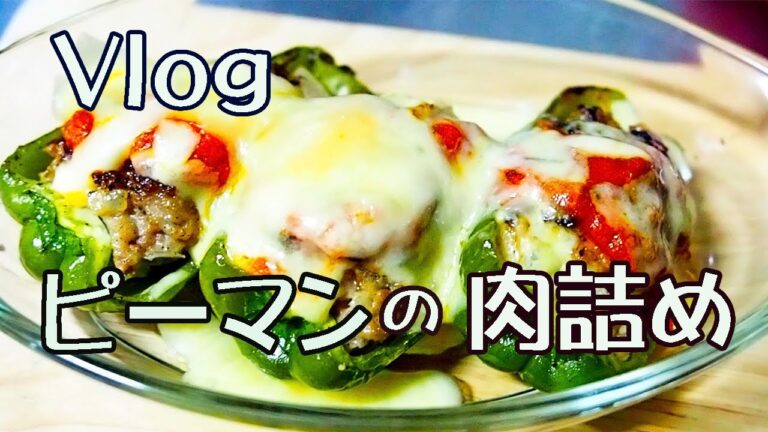 春の雪景色とピーマンの肉詰 「Vlog 道東・オホーツクの暮らし」