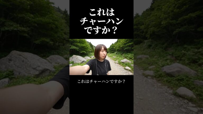 これはチャーハンですか？ #サバ姉 #プレミアムごろう #あんかけチャーハン #ai #コメディ