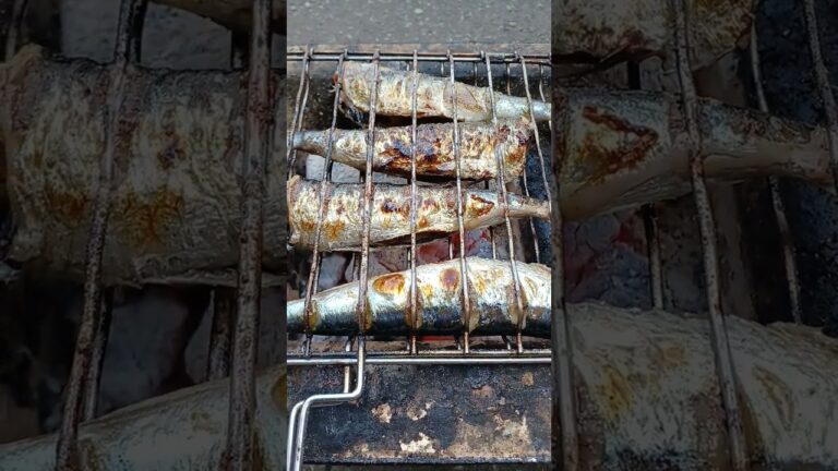 炭火で🔥イワシ焼く🎵