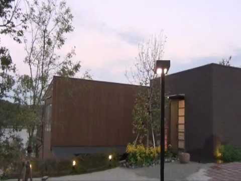 夜の「長江SORAE」.wmv