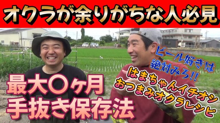 【オクラ保存法】大量収穫で余りがちなオクラの保存の仕方を言ったら野菜ソムリエも納得した件。【おくら】【収穫】【家庭菜園】【野菜保存】