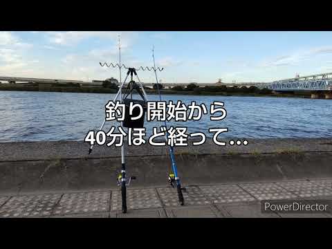 第286話 うなうな釣行with次男＠荒川（北千住） 2022年7月28日