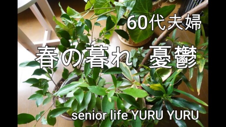 【シニアライフ】春を愁う、気持ちは沈みがち、シラスご飯、絹ごし豆腐の卵焼き、エビ入りすりみ汁、