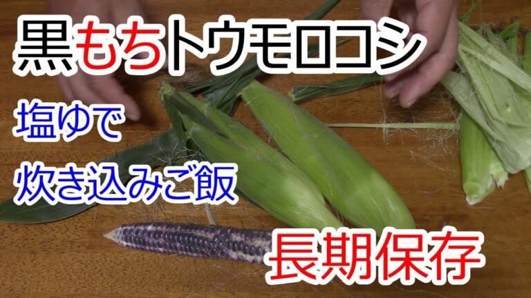 黒もちトウモロコシ 塩茹で 炊き込みご飯 超長期保存 2021.8.18