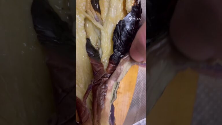 七輪男の焼き茄子つくってみた。#炭火焼