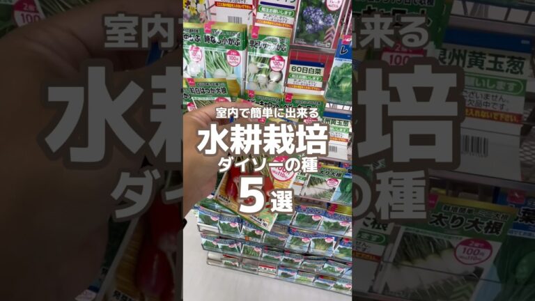 室内で簡単に出来る水耕栽培ダイソーの種5選#家庭菜園 #youtubeshorts #水耕栽培 #ダイソー
