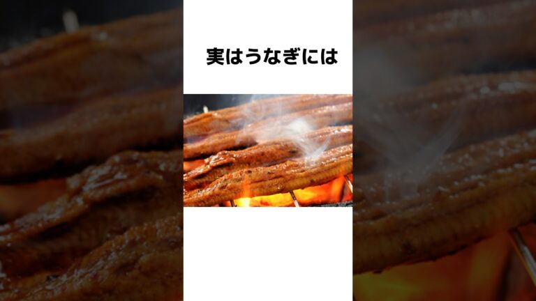 うなぎを生で食べてはいけない理由