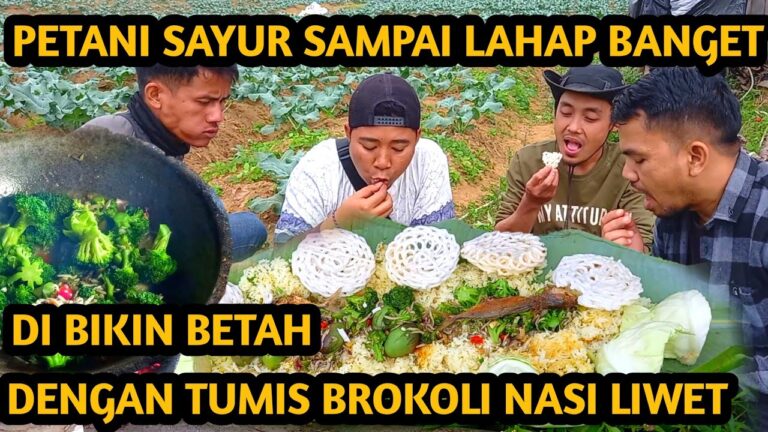 TUMIS BROKOLI NASI LIWET BIKIN PETANI SAYUR LAHAP BANGET
