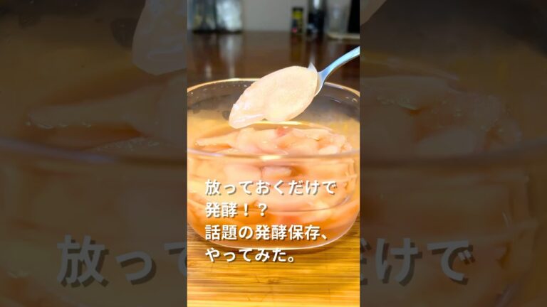 【放っておくだけで発酵！？】話題の発酵保存、やってみた🫚#発酵生姜 #新生姜 #甘酢漬け  #簡単レシピ