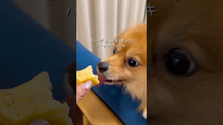 ヨーグルトを使ったバナナケーキ