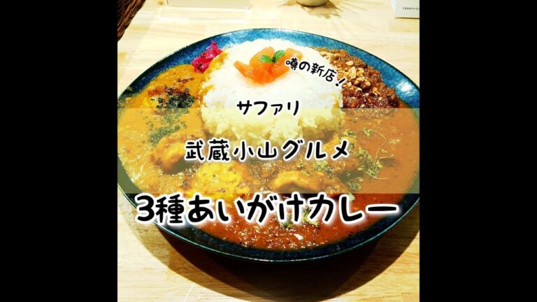 【武蔵小山グルメ】「カレーサファリ」～3種あいがけカレー～ 2021/12/16にオープンした話題のカレー屋さん！3種あいがけカレーなら全種類食べられちゃいます！カレーは美味い！