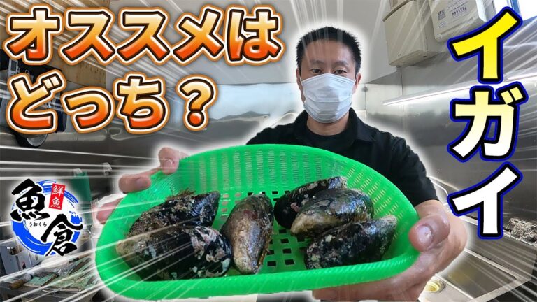 お手軽！大きなイガイを食べてみた