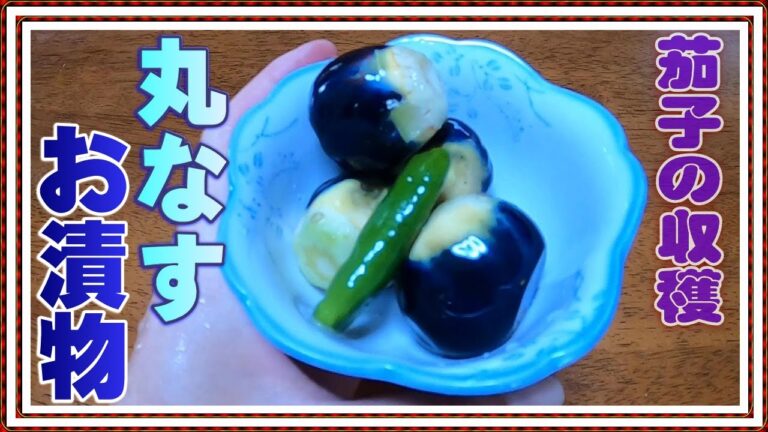 【丸ナスの漬物】おひとついかがですか？【適当わいるどガーデン】