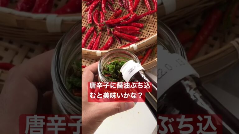 唐辛子に醤油ぶち込んだった redpepper and soy sauce.