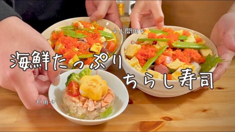 ひな祭りごはん！贅沢海鮮ちらし寿司を作って食べる夫婦と愛犬の動画