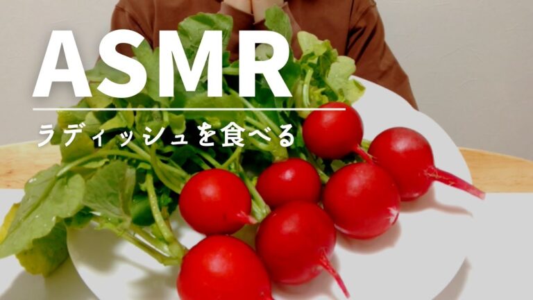 【ASMR 咀嚼音】野菜(ラディッシュ)を食べる  radish vegetable【Eating sounds】