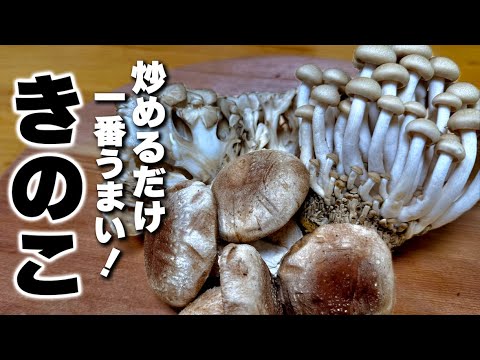 【きのこの簡単レシピ】豚肉と炒めるだけ！シンプルが1番旨いオイスター炒めの作り方