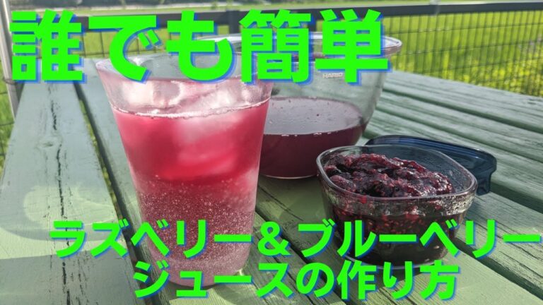 誰でも簡単！ラズベリー＆ブルーベリージュースの作り方✩.*˚ジャムの作り方も✩.*˚(クランベリージュースも同様に作れます)