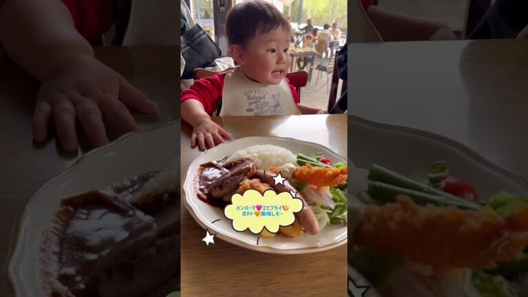 豪華すぎるお子様ランチ🍽️ボクのだよ🥺#shorts  #孫動画 #お子様ランチ #豪華なランチ