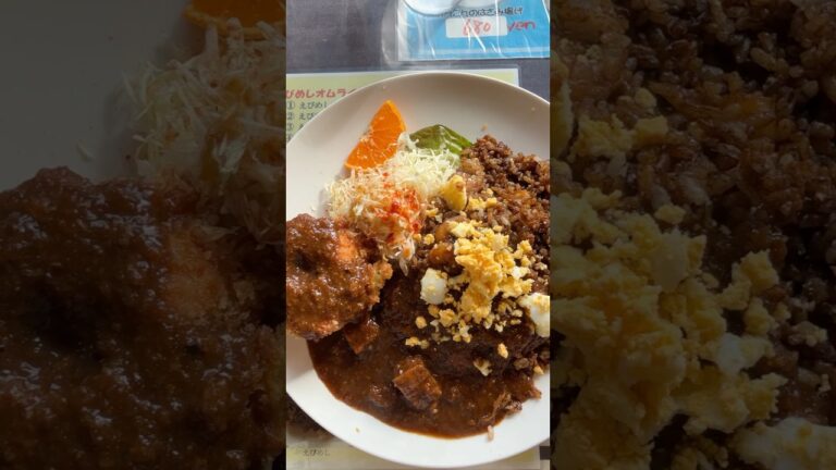 【岡山グルメ】えびめしを食べに行ったのだが、カレーも食べていた話。ワオ！#岡山グルメ #岡山ランチ  #牛窓