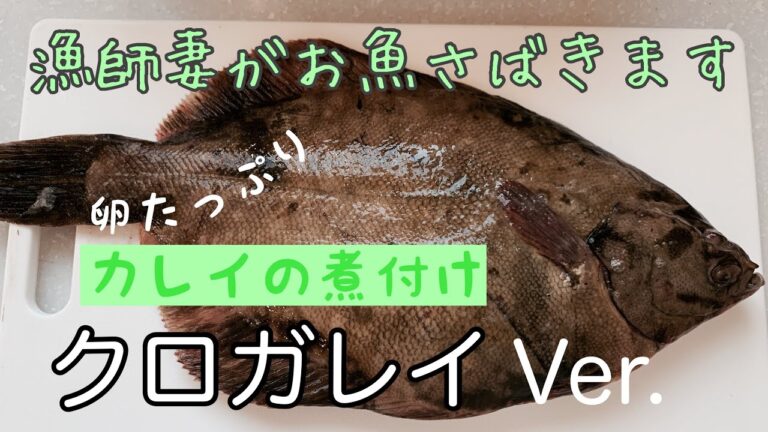 漁師妻がお魚さばきます【クロガレイ】カレイの煮付け