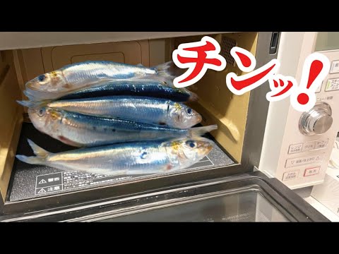 【断言】イワシは電子レンジ３分チンするのが1番美味い！最強の簡単節約健康レシピをご覧ください。
